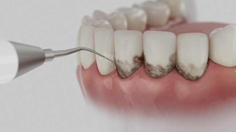 Reliable Dental contractor in Kechi, KS by Dentist Open Now